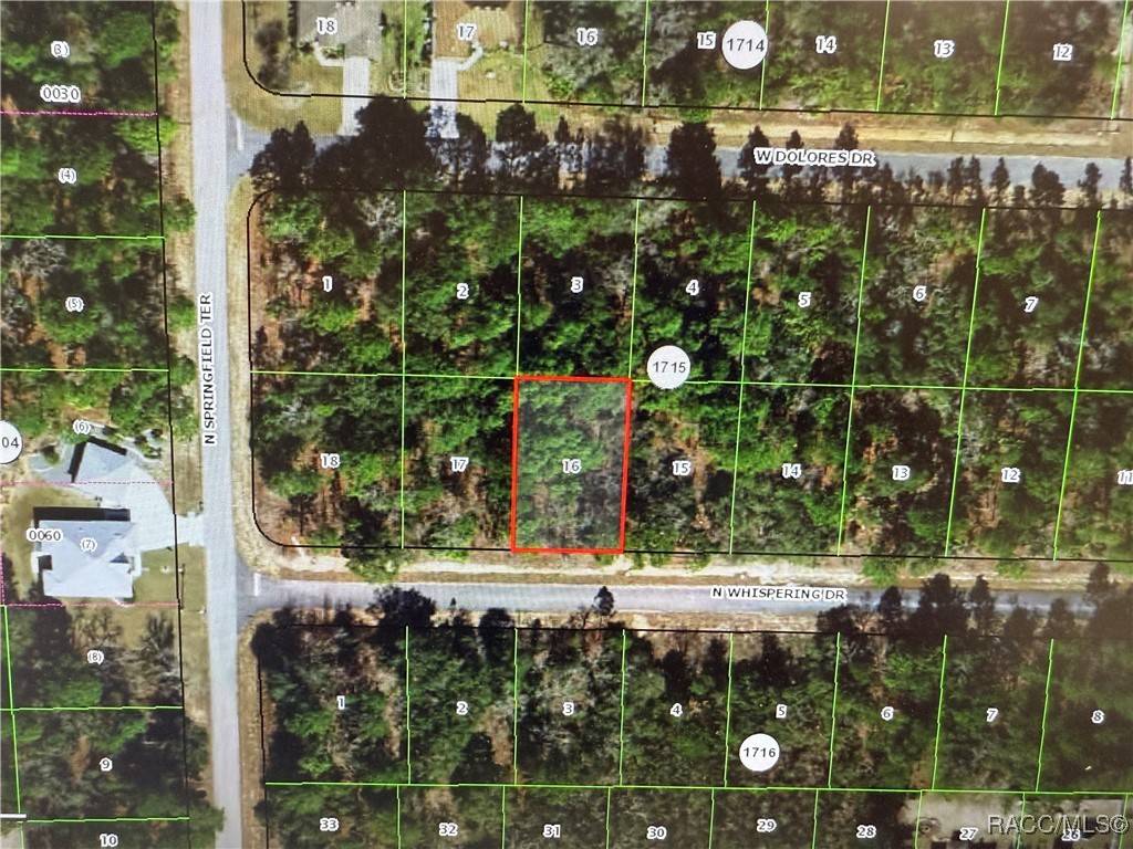 Dunnellon, FL 34434,6575 W Whispering DR
