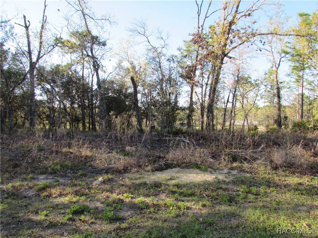 Dunnellon, FL 34434,1255 W Nankeen DR