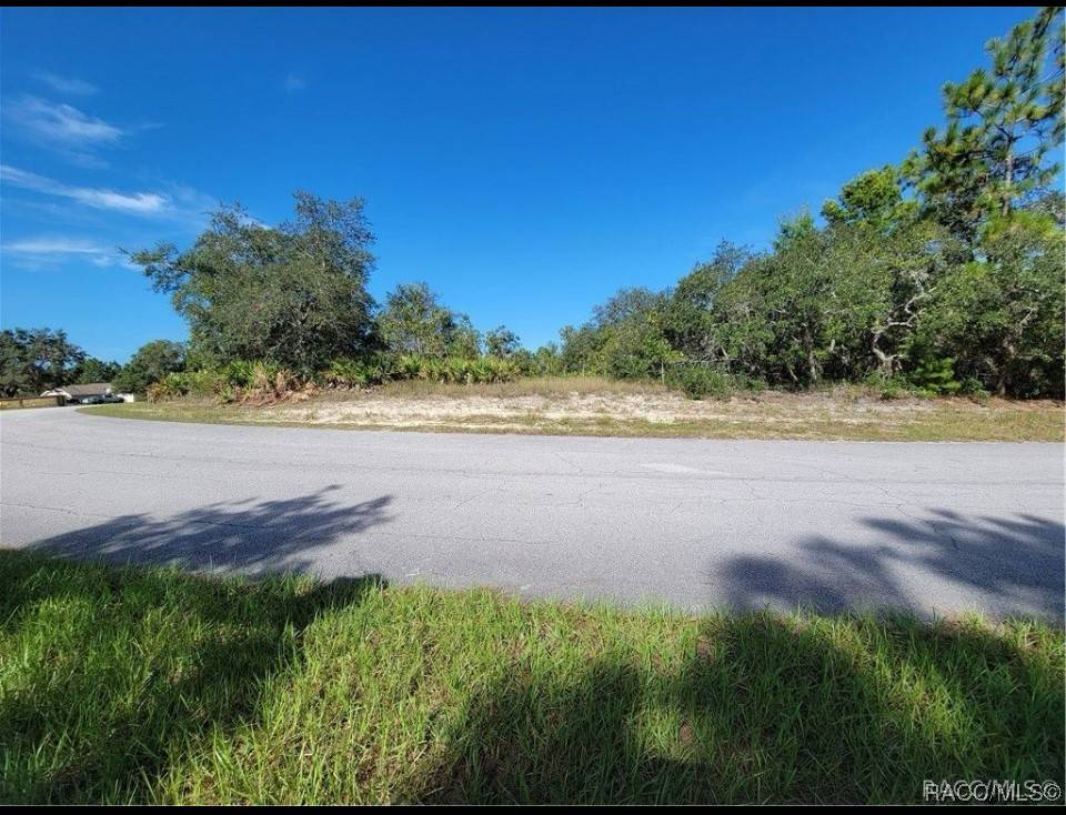 Homosassa, FL 34446,27 Dahlia CT N