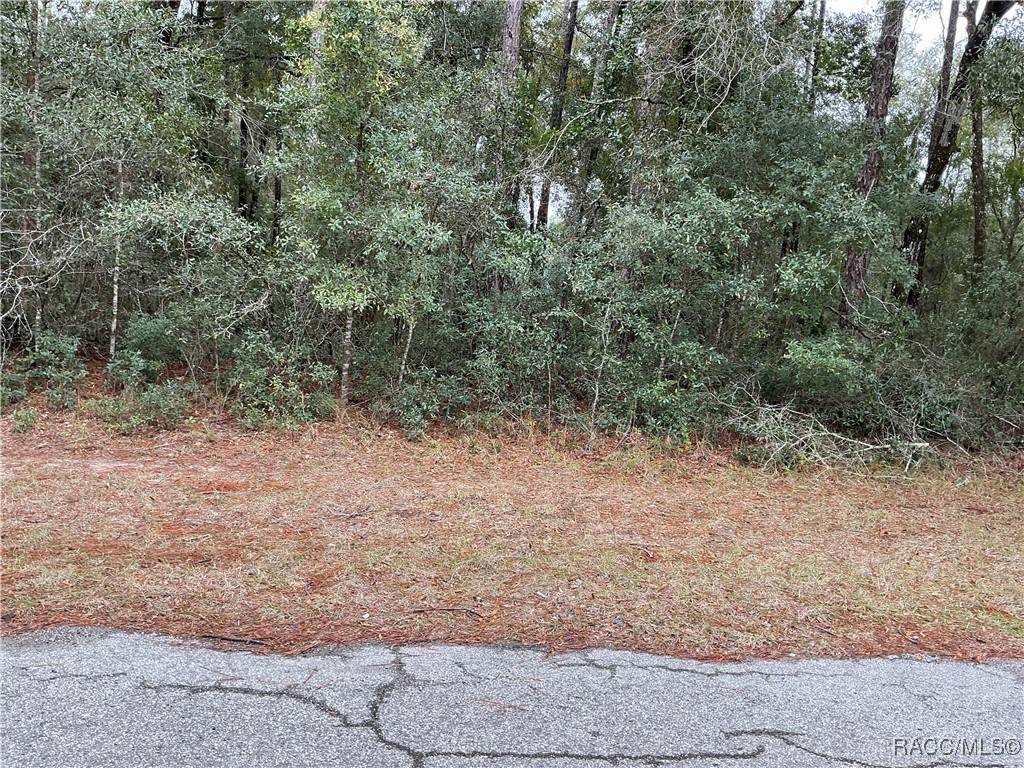 Dunnellon, FL 34434,1906 W Rolling PL