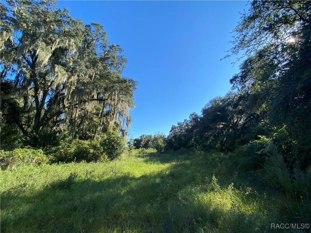 Floral City, FL 34436,8701 S Fruition AVE