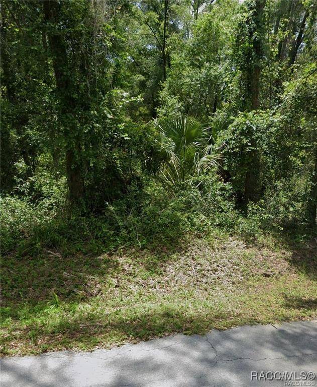 Inverness, FL 34453,LOTS 89 90 91 & 92 N Rooks AVE