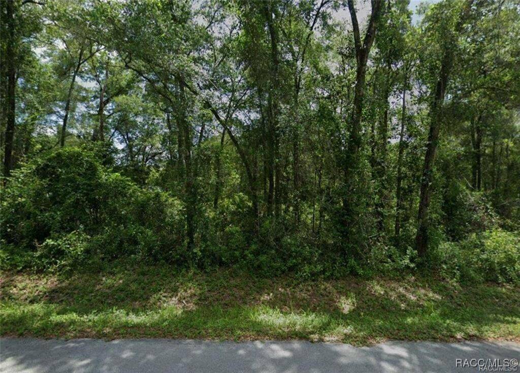 Inverness, FL 34453,LOTS 89 90 91 & 92 N Rooks AVE