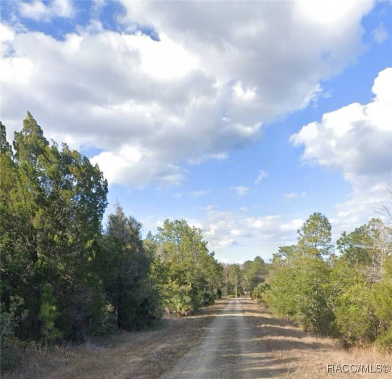 Brooksville, FL 34614,TBD Quinton RD