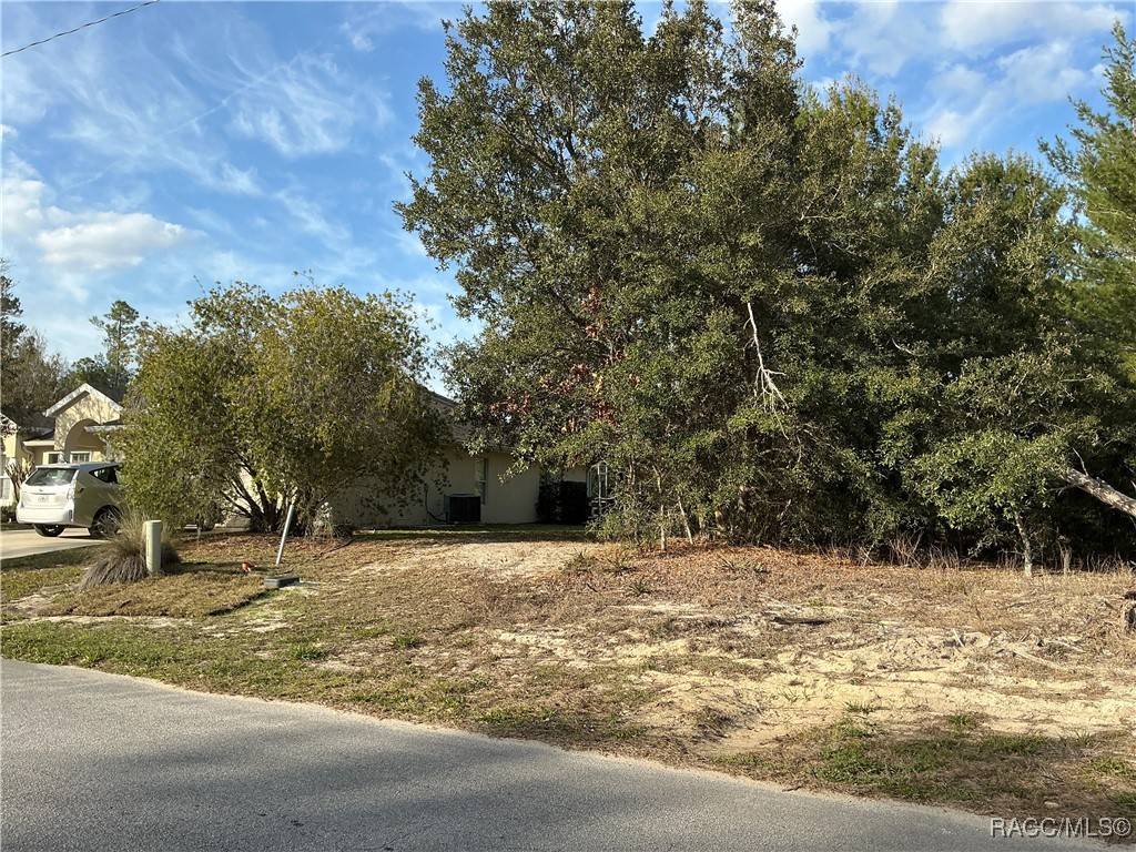 Homosassa, FL 34446,51 Grass ST