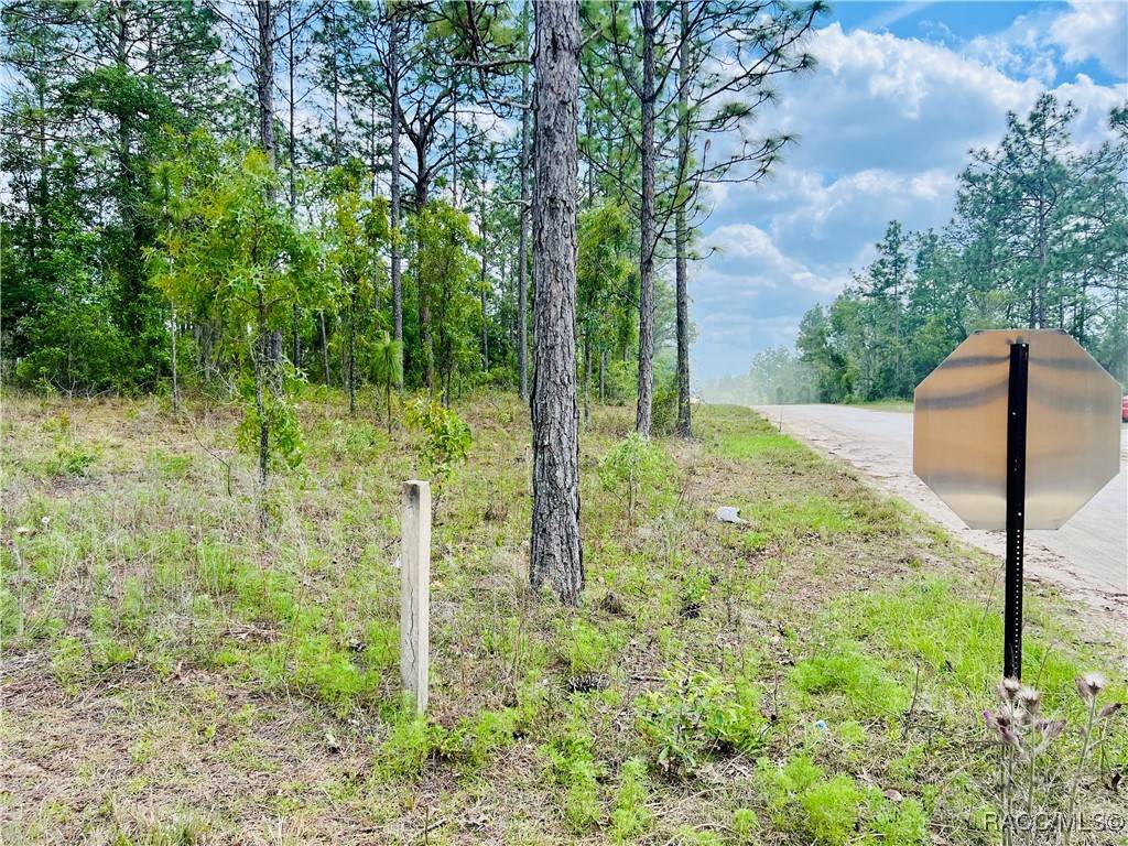 Williston, FL 32696,0000 NE 131 TER