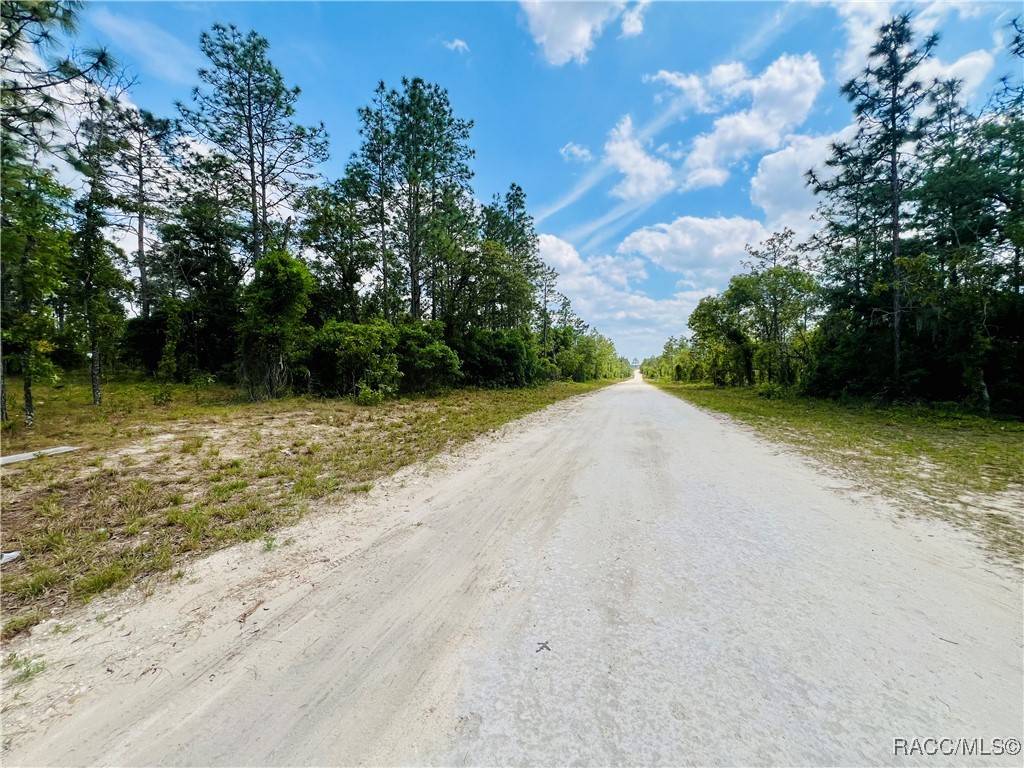 Williston, FL 32696,0000 NE 131 TER