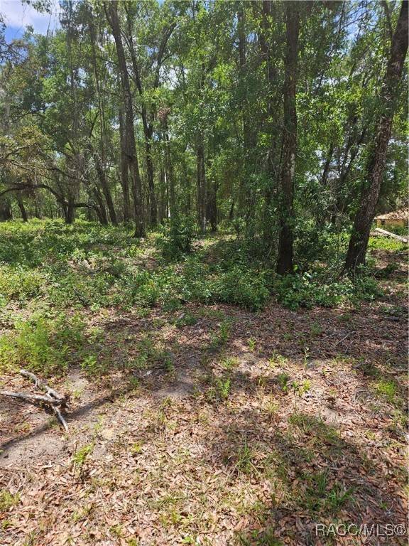 Inverness, FL 34452,2235 W Main ST