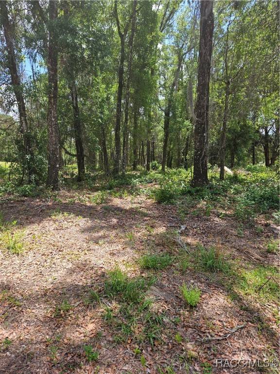 Inverness, FL 34452,2235 W Main ST