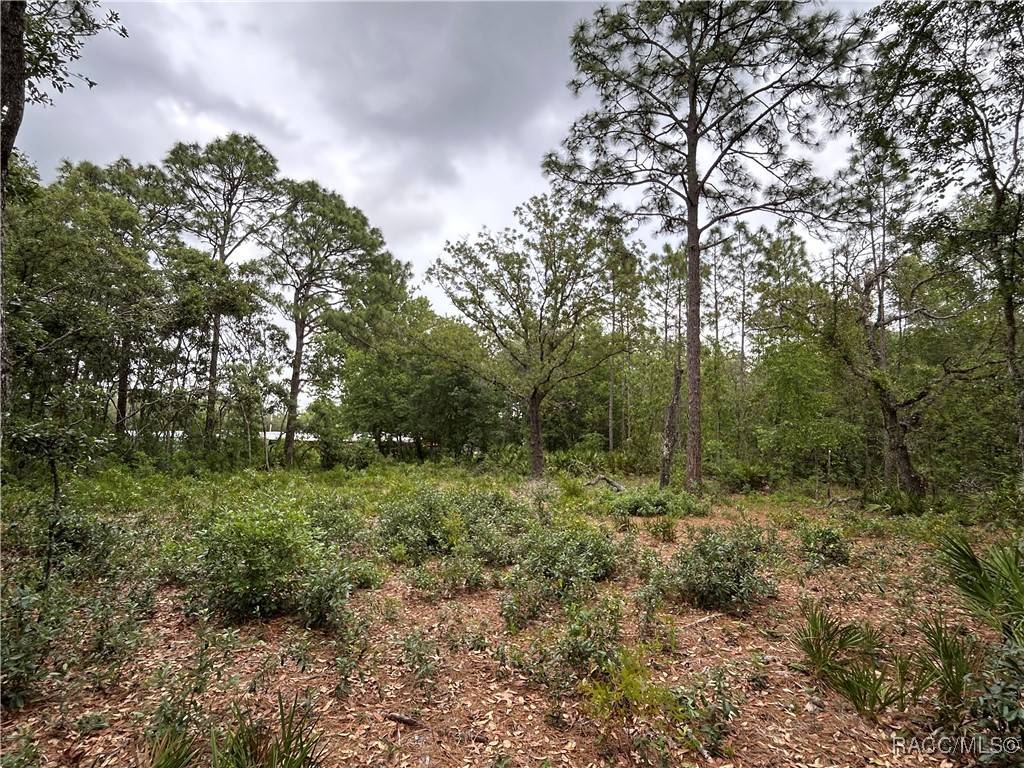 Homosassa, FL 34446,0 S Slash Pine AVE