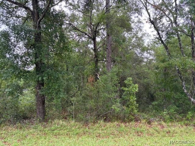 Inverness, FL 34453,359 N Fitzpatrick AVE