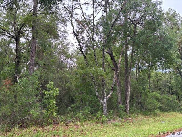 Inverness, FL 34453,359 N Fitzpatrick AVE