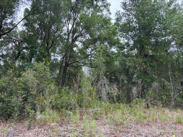 Inverness, FL 34452,6717 E Gentry ST