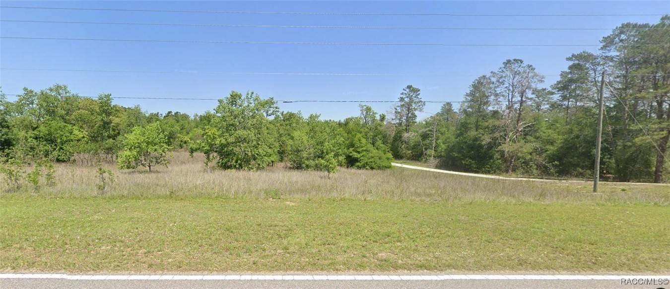 Brooksville, FL 34602,0 Poe Country LN