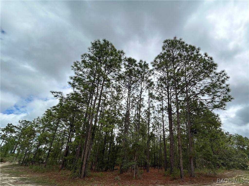 Weeki Wachee, FL 34614,0 Mellon RD