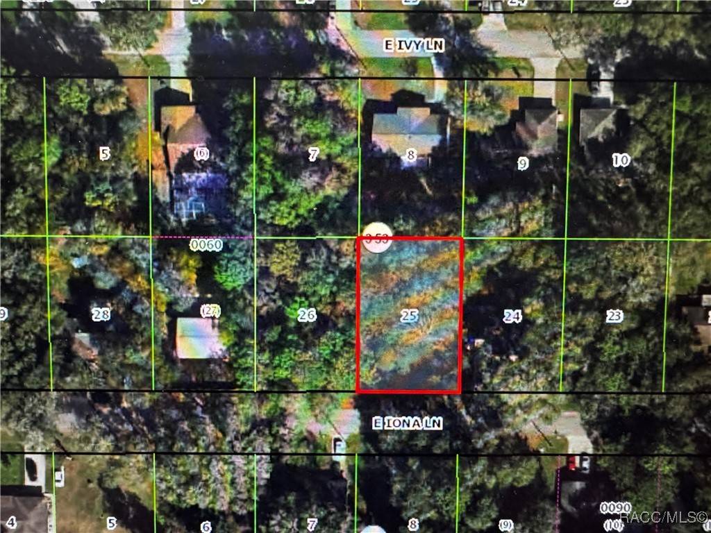 Inverness, FL 34452,6151 E Iona LN
