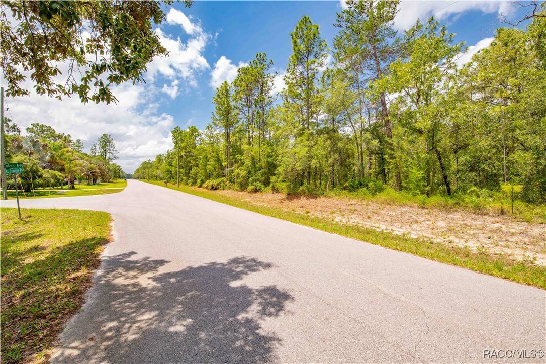 Brooksville, FL 34614,16240 Mount Sparrow RD