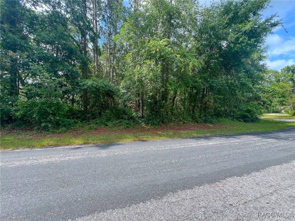 Homosassa, FL 34446,35 Seagrape ST