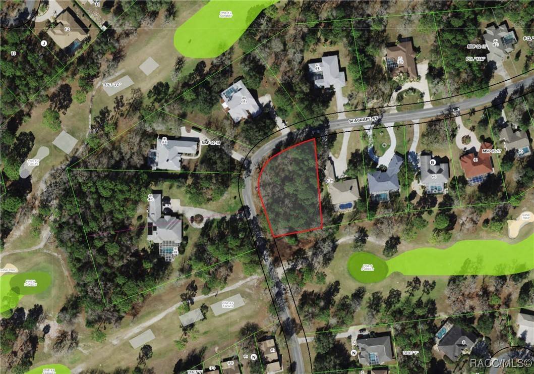 Homosassa, FL 34446,35 Seagrape ST