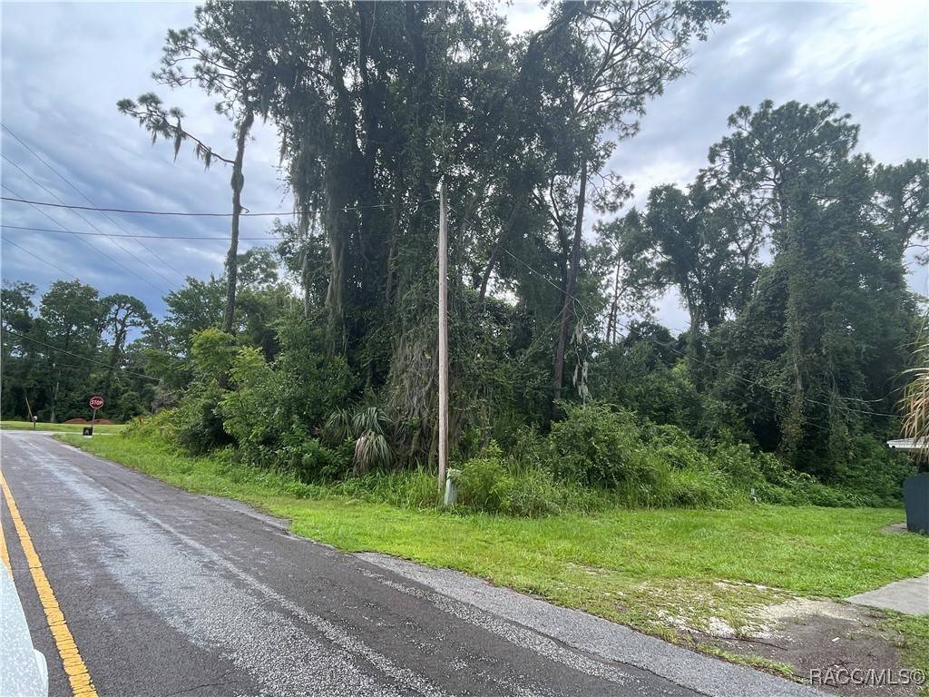 Inverness, FL 34452,4410 S Rainbow DR