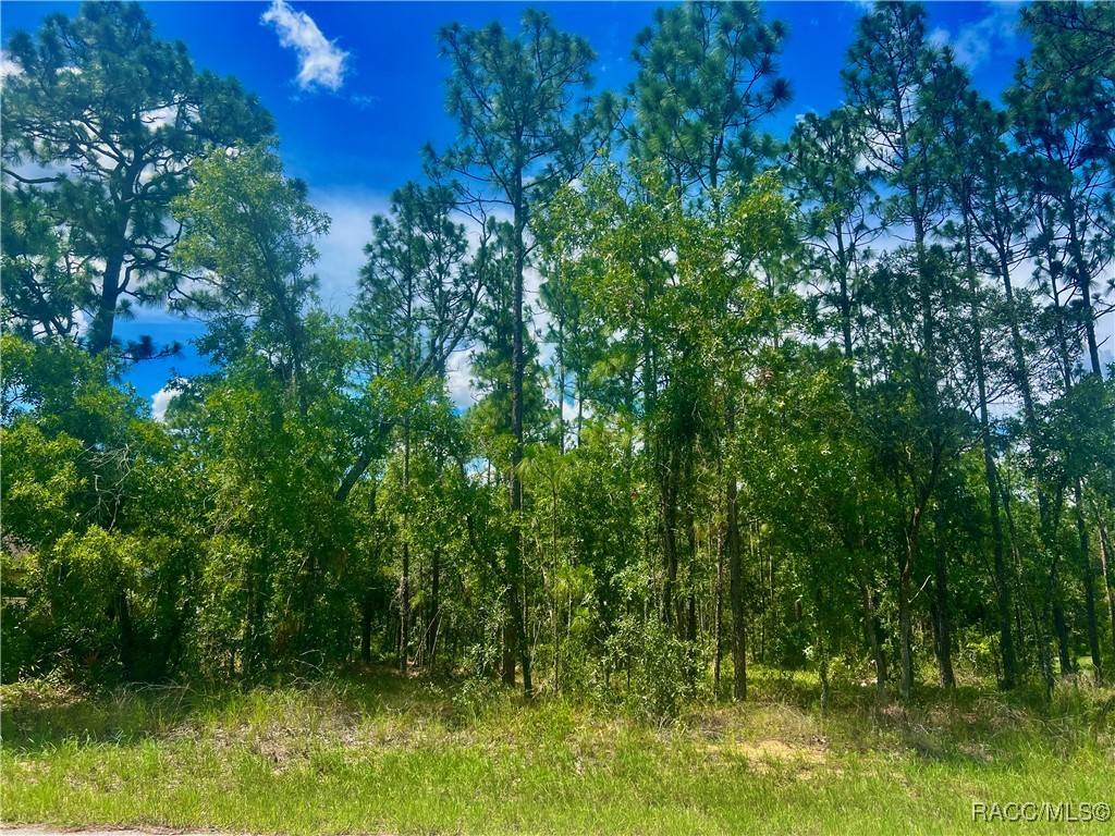 Homosassa, FL 34446,4 Pagoda CT E
