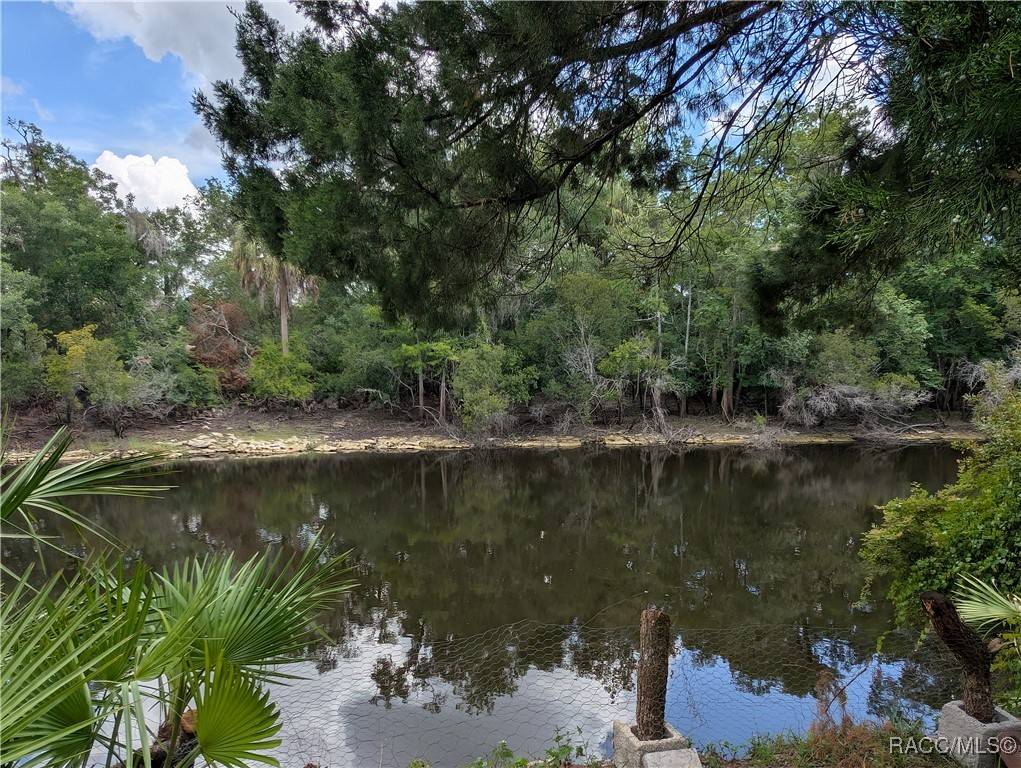 Dunnellon, FL 34434,3609 E Westcove CT