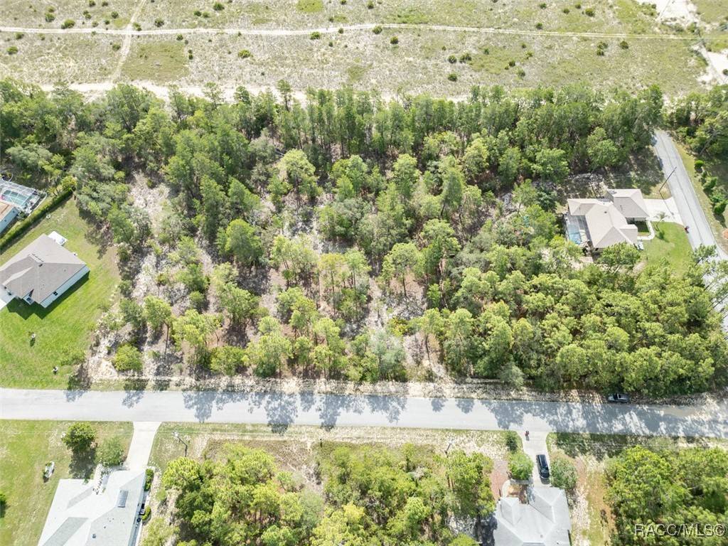 Homosassa, FL 34446,5 Fringetree CT