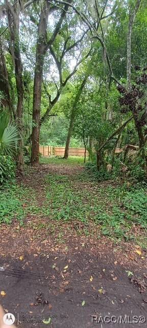 Inverness, FL 34453,9379 E Tin Pan ALY