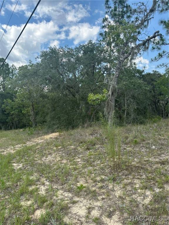 Lecanto, FL 34461,869 N Kensington AVE