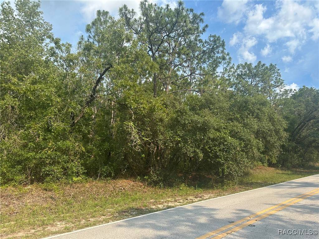 Lecanto, FL 34461,7 S Otis AVE