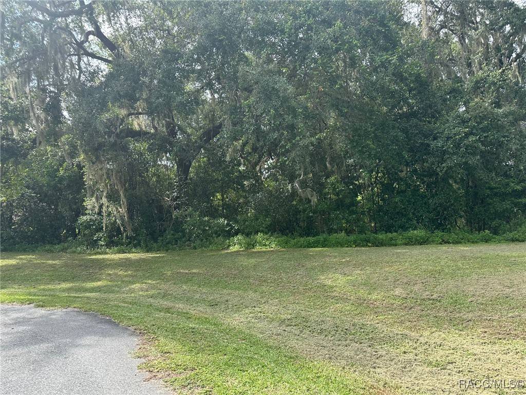 Hernando, FL 34442,3041&3061 E Berwick CT