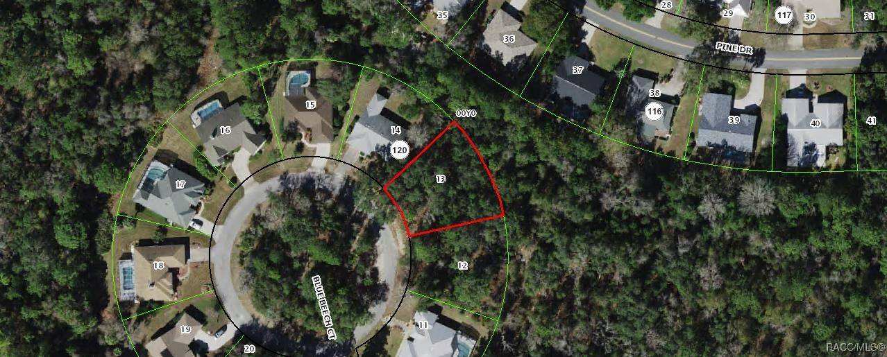 Homosassa, FL 34446,9 Blue Beech CT