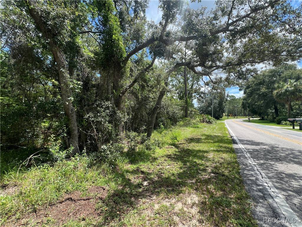 Lecanto, FL 34461,787 E Reehill ST