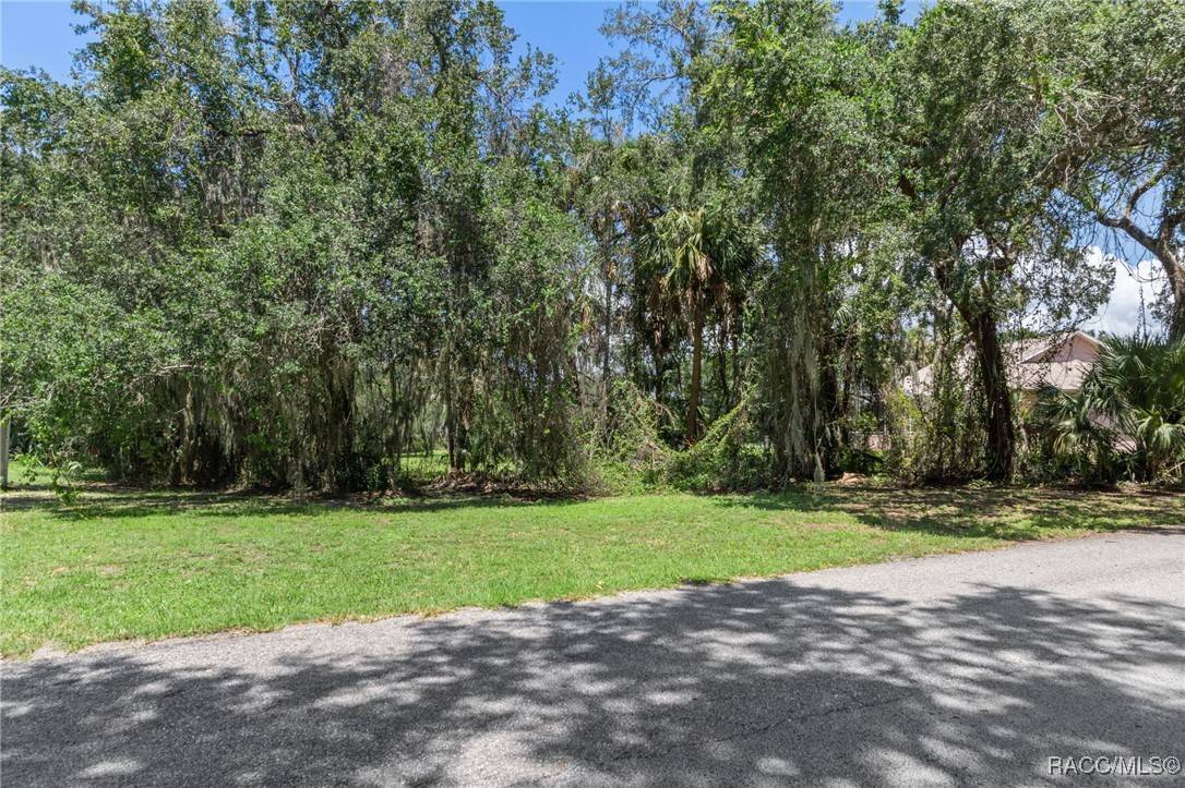 Homosassa, FL 34448,4788 S Wood WAY