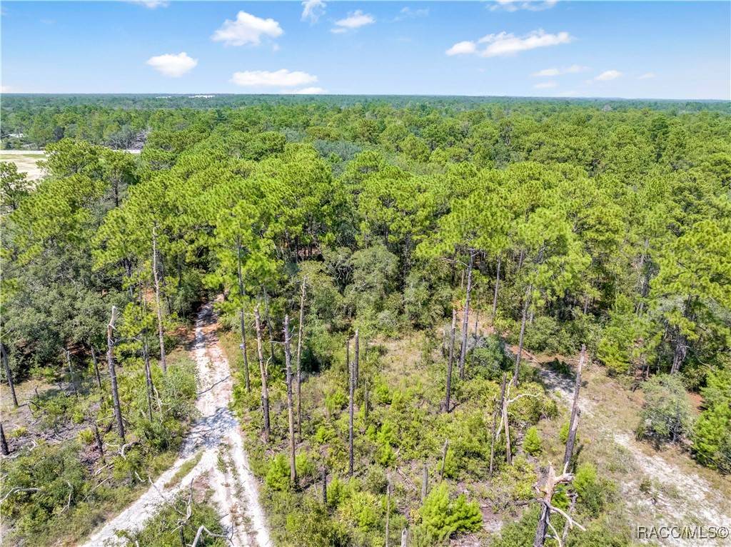 Weeki Wachee, FL 34613,0 Restoration RD