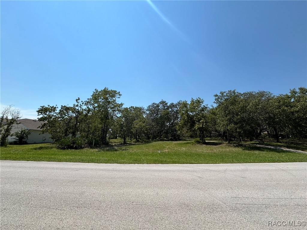 Homosassa, FL 34446,60 Woodfield CIR