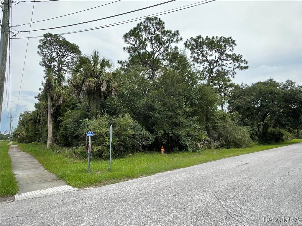 Inglis, FL 34449,00 W Highway 40