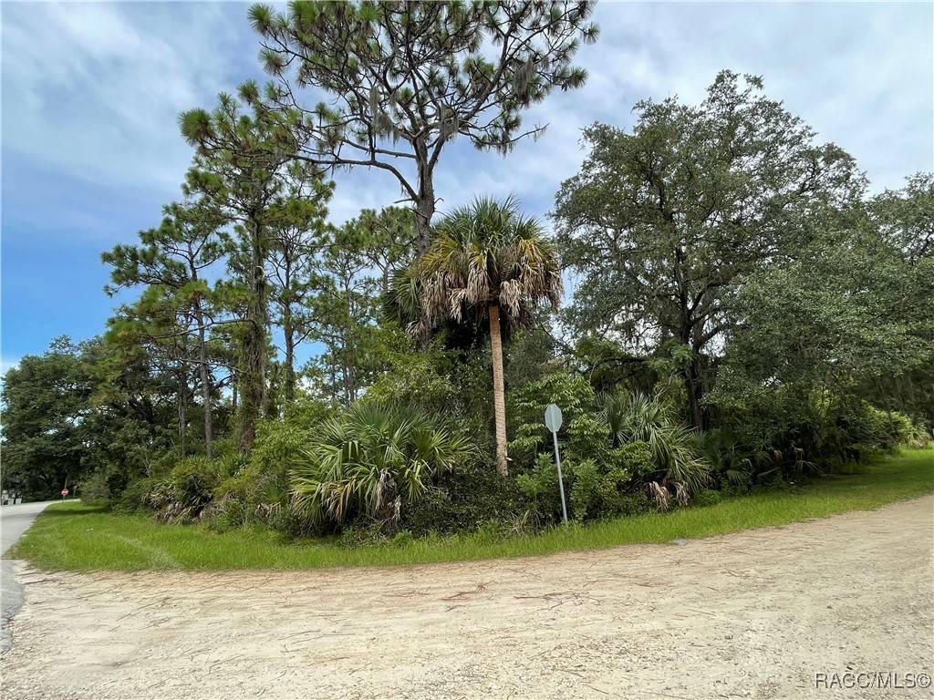Inglis, FL 34449,00 W Highway 40