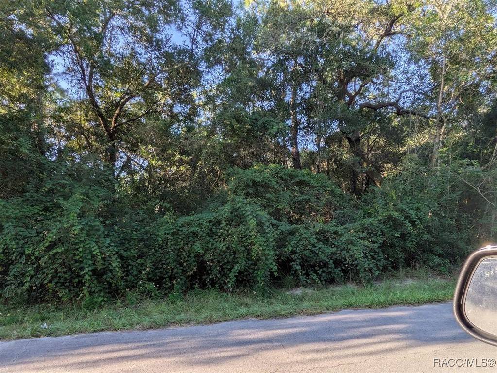 Inverness, FL 34453,3248 E Scofield ST