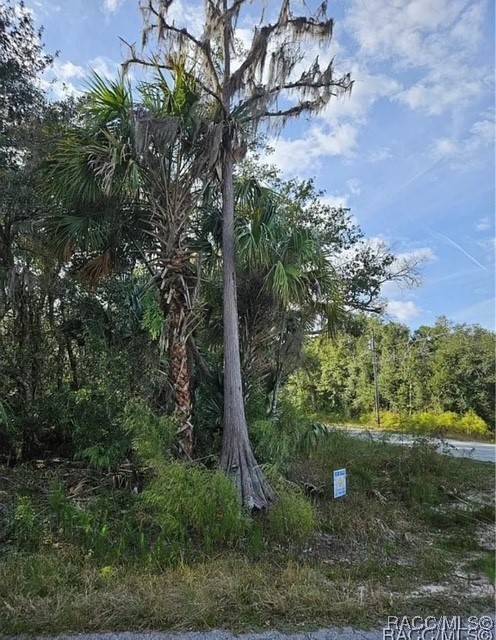 Crystal River, FL 34428,12646 W Cypress Vine LN