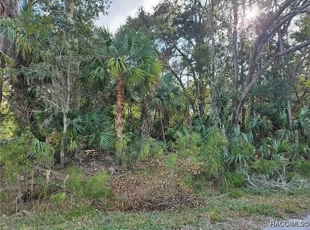 Crystal River, FL 34428,12646 W Cypress Vine LN