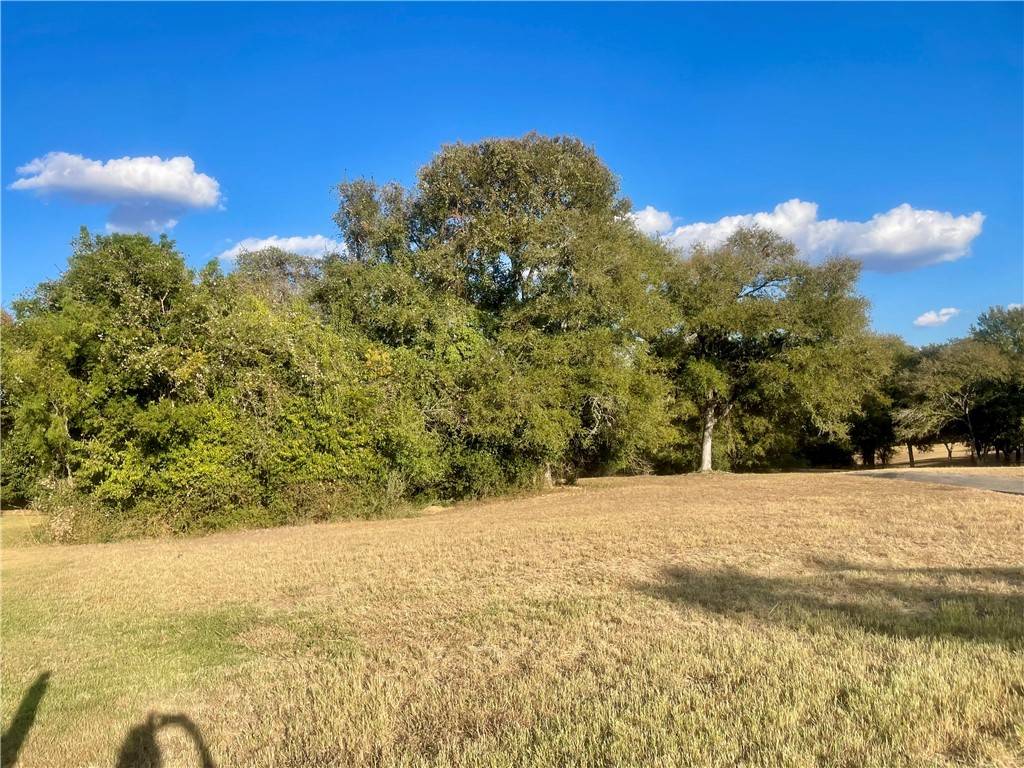 Seguin, TX 78155,1931 Monterrey Oak
