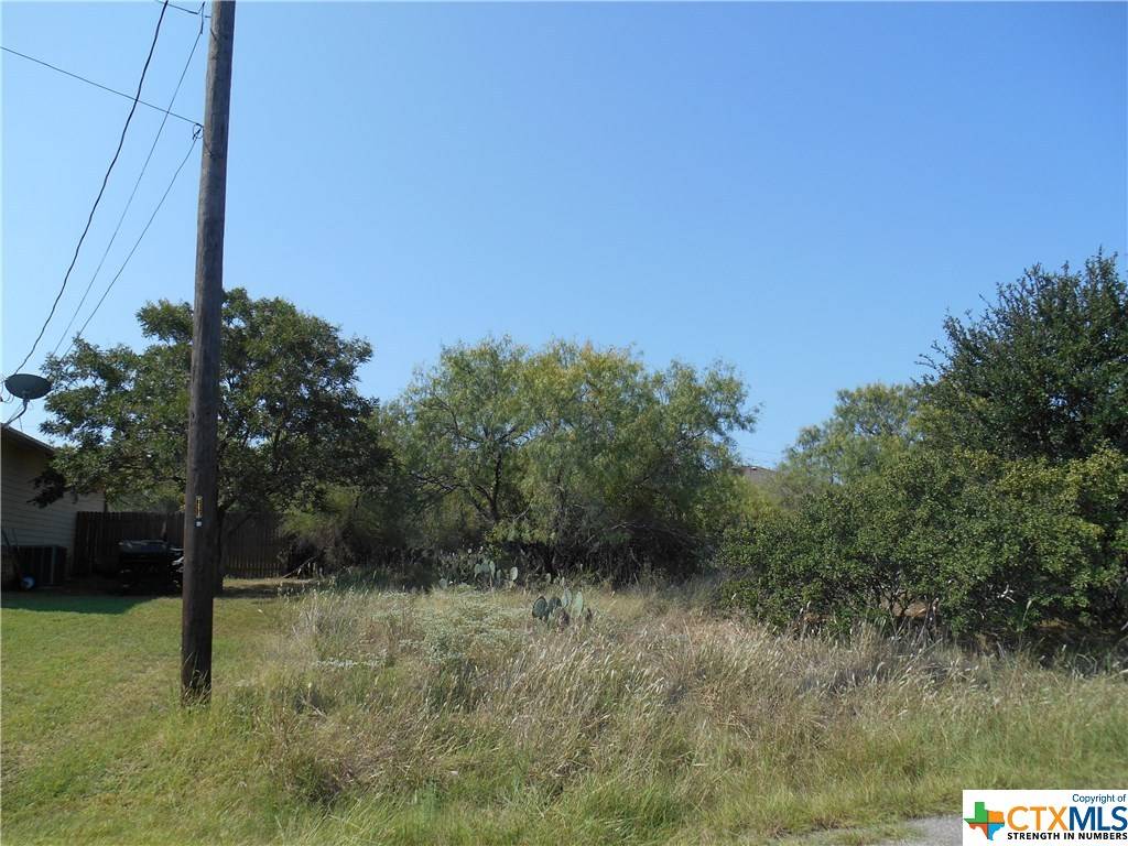 Granite Shoals, TX 78654,Lot 701 W Cedar DR