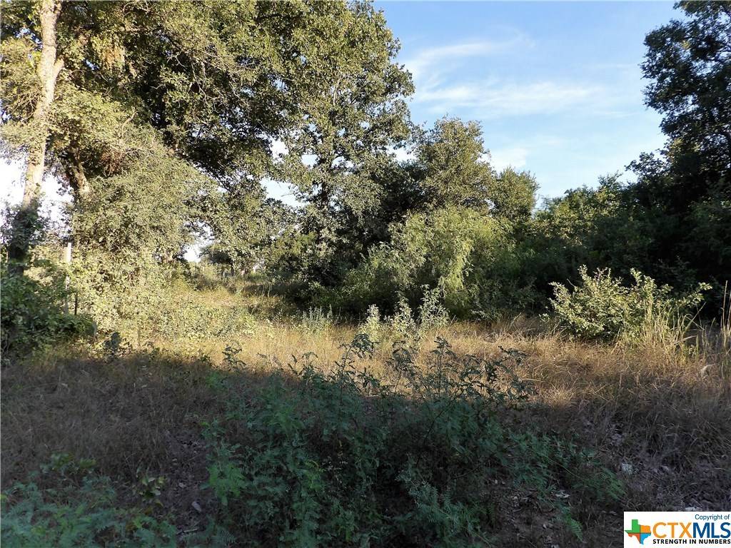 Dale, TX 78616,1500 Old Colony RD