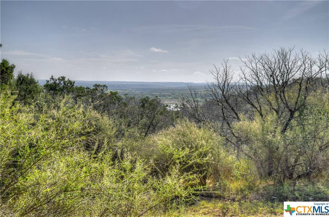 Marble Falls, TX 78657,00 Max Starcke Dam RD