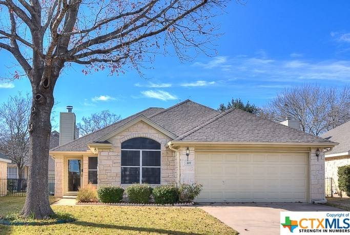 Georgetown, TX 78628,207 Village