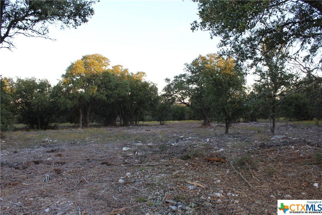 Salado, TX 76571,TBD Shiny Top Ranch Lane