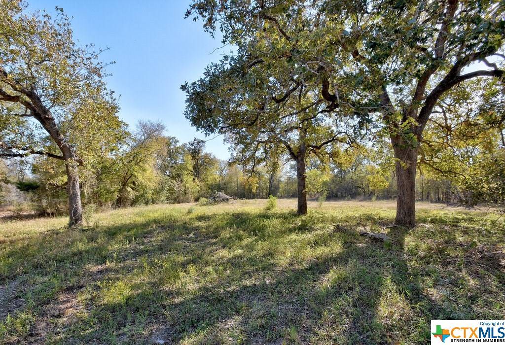 Kingsbury, TX 78638,7127 Gander Slough RD