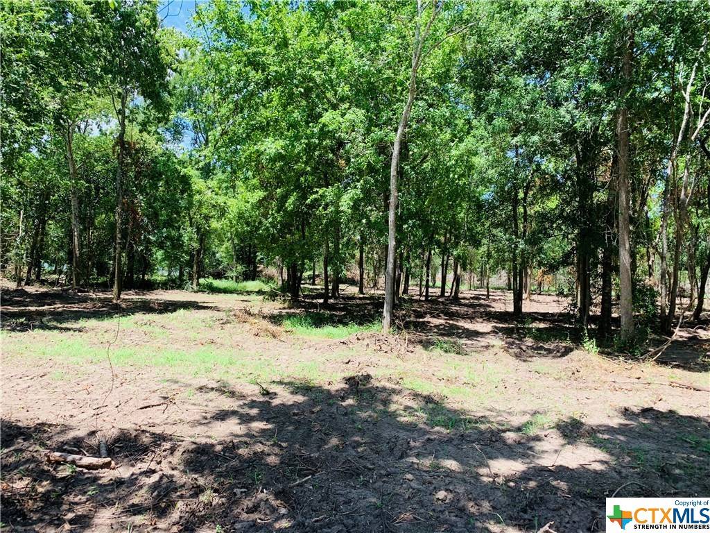 Edna, TX 77957,Lot 2 W Cedar St