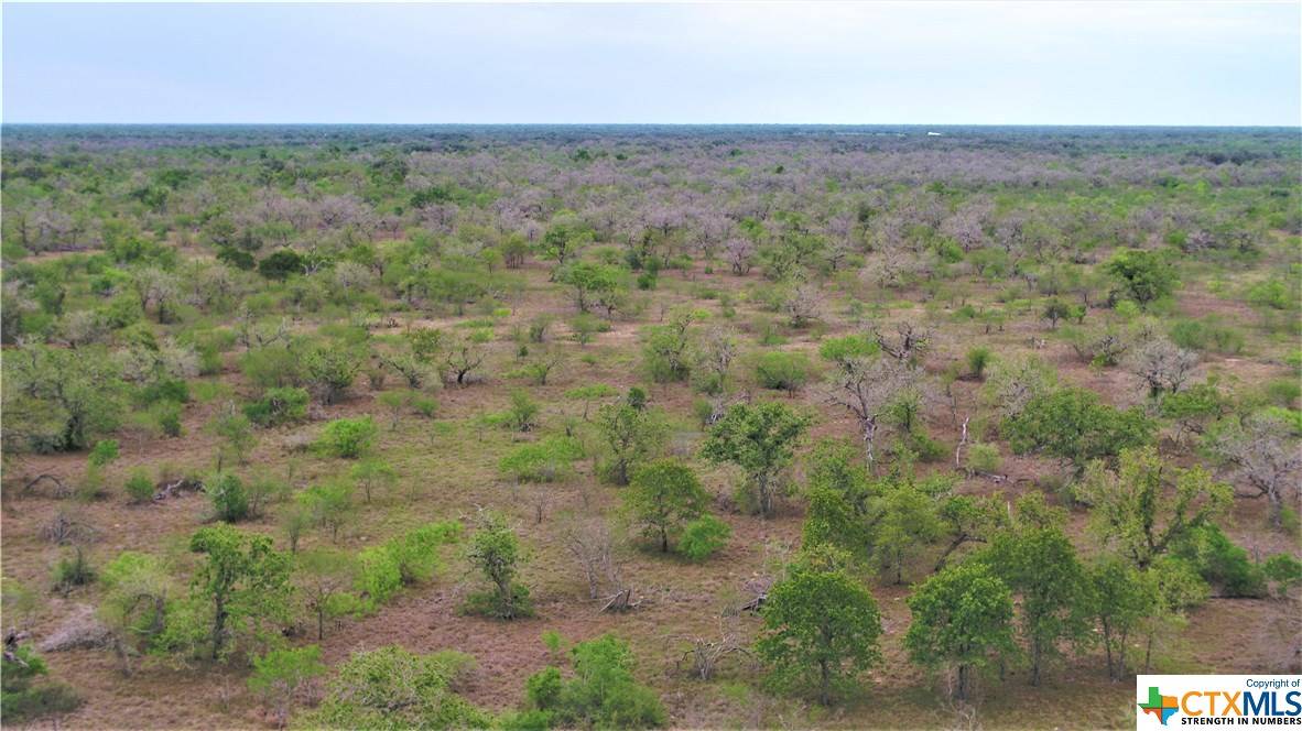 Goliad, TX 77963,000 Tuttle RD
